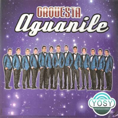 Orquesta Aguanile