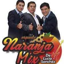 Orquesta naranja mix
