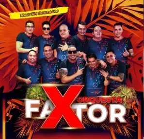 Factor X