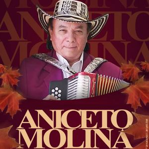 Aniceto Molina